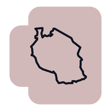 Icon of Tanzania